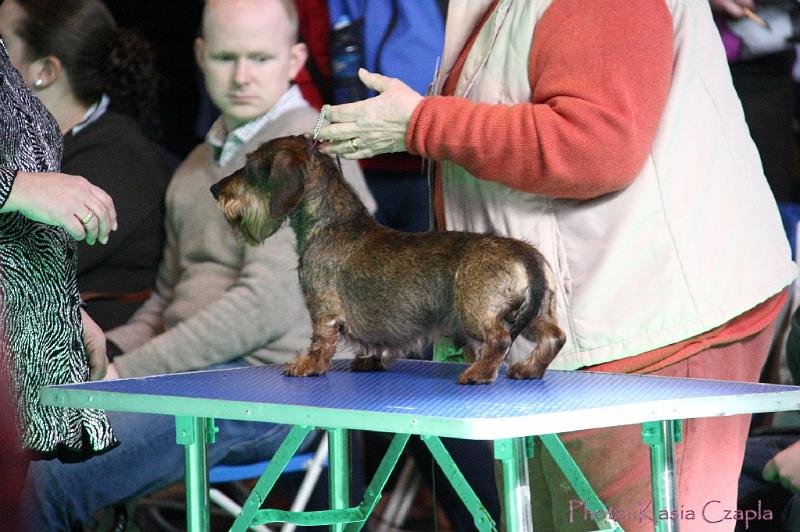 Crufts2011_2 848.jpg